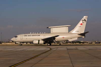 Anatolian Eagle Konya