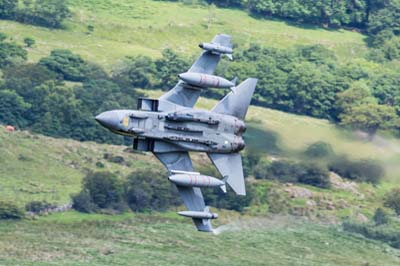 Aviation Photography RAF 41 Squadron