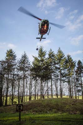 Salisbury Plain Training Area