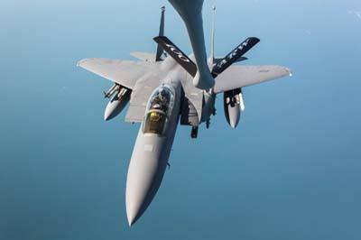 F-15E Strike Eagle Air to Air