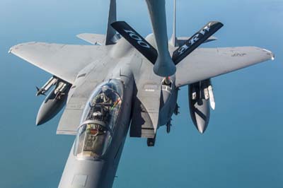 F-15E Strike Eagle Air to Air