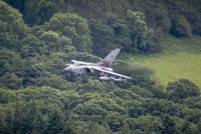 Aviation Photography low level flying