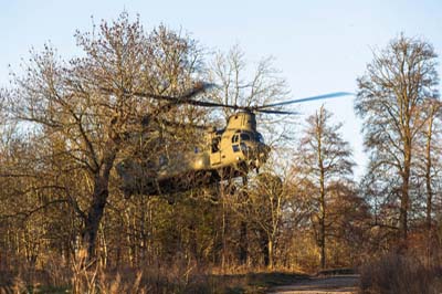 Salisbury Plain Training Area