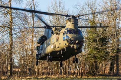 Salisbury Plain Training Area