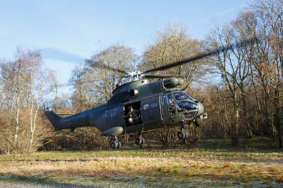 Aviation Photography RAF 33 Squadron