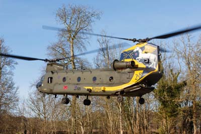 Salisbury Plain Training Area