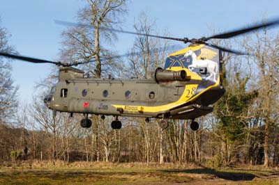 Salisbury Plain Training Area