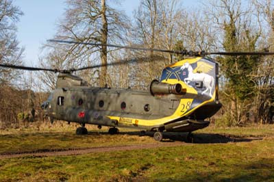 Salisbury Plain Training Area