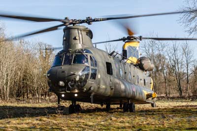 Salisbury Plain Training Area