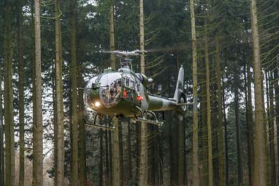 Salisbury Plain Training Area