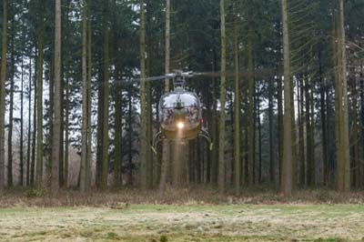 Salisbury Plain Training Area