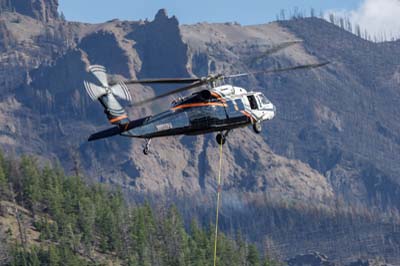 Shoshone National Forest Fire