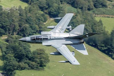 Aviation Photography RAF 41 Squadron
