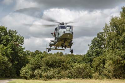 Salisbury Plain Training Area