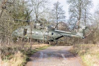 Salisbury Plain Training Area