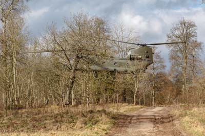 Salisbury Plain Training Area