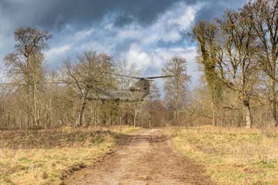 Salisbury Plain Training Area