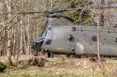 Salisbury Plain Training Area