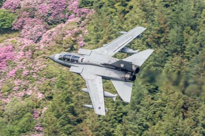Aviation Photography low level flying