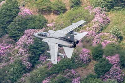 Aviation Photography low level flying