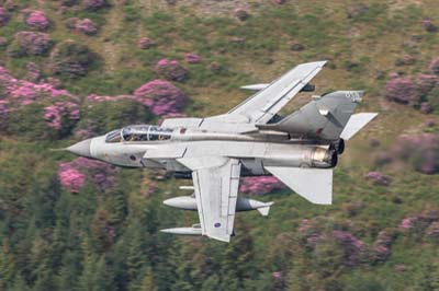 Aviation Photography low level flying