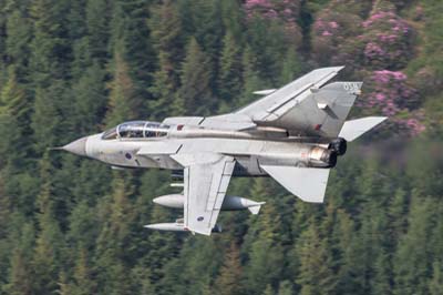 Aviation Photography low level flying