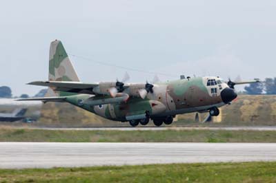 Hellenic Air Force Andravida Iniochos