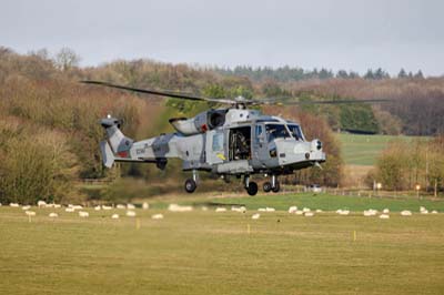 Salisbury Plain Training Area