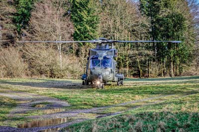 Salisbury Plain Training Area