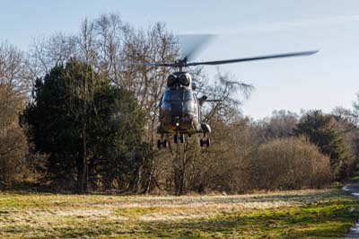 Salisbury Plain Training Area