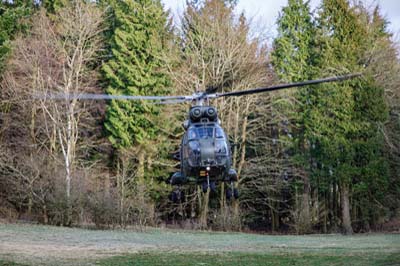 Salisbury Plain Training Area