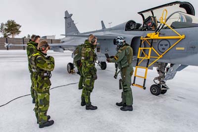 Lule Swedish Air Force Gripen