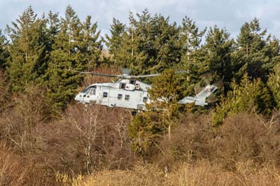 Salisbury Plain Training Area