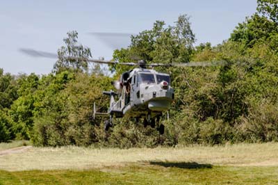 Salisbury Plain Training Area