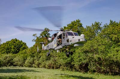 Salisbury Plain Training Area