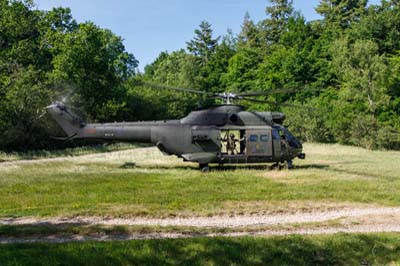 Salisbury Plain Training Area