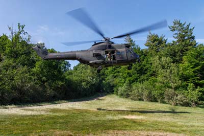 Salisbury Plain Training Area