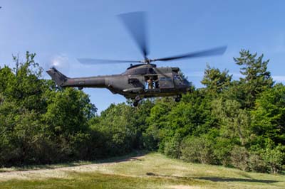 Salisbury Plain Training Area