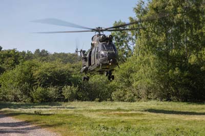 Salisbury Plain Training Area