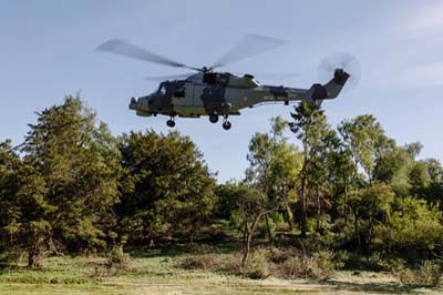 Salisbury Plain Training Area