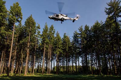 Salisbury Plain Training Area