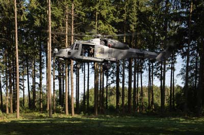 Salisbury Plain Training Area