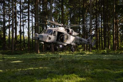 Salisbury Plain Training Area