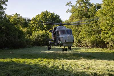 Salisbury Plain Training Area