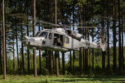 Salisbury Plain Training Area