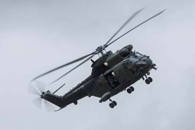 Salisbury Plain Training Area