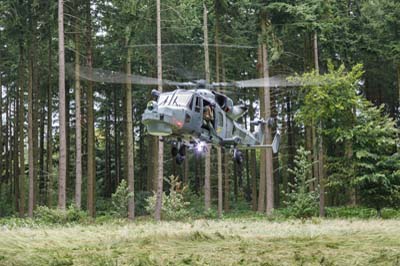 Salisbury Plain Training Area