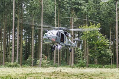 Salisbury Plain Training Area