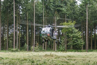 Salisbury Plain Training Area