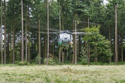 Salisbury Plain Training Area